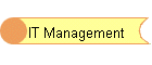 IT Management